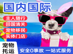 栎社机场空运国际宠物托运 【国